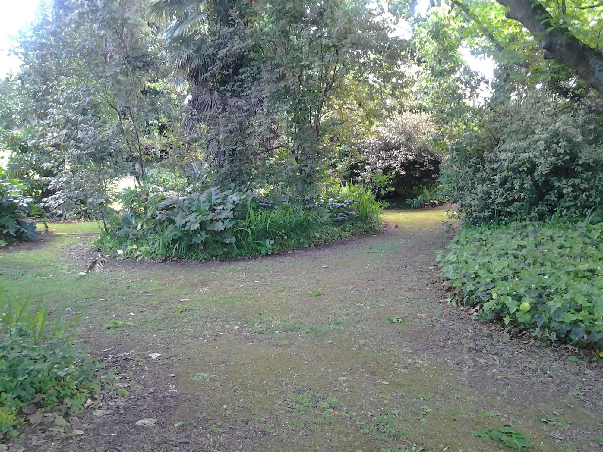 Hikurangi Stayplace Whanganui Eksteriør billede