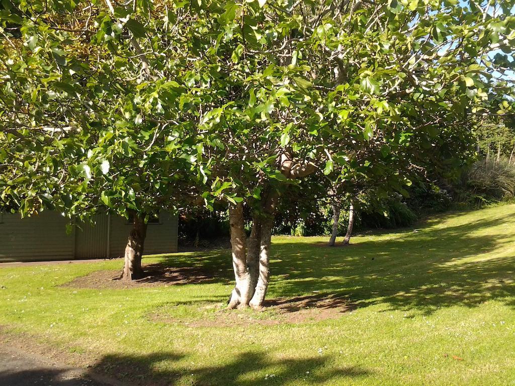 Hikurangi Stayplace Whanganui Eksteriør billede